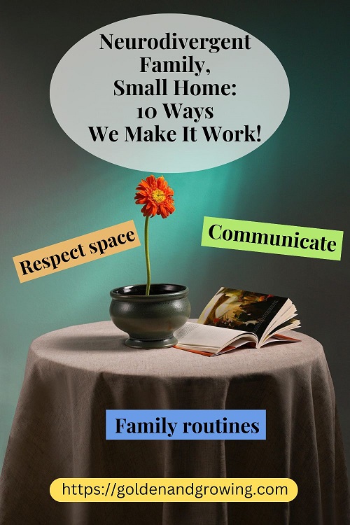 Neurodivergent family life and small home: how we make it work.